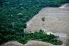 Climate change could rewrite tropical history