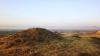 ‘Wastelands’ No More: India Charts a Future for Its Grasslands
