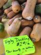 North Carolina’s drought hammers farmers, worsens food insecurity