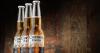 Investment and innovation boost AB InBev sales