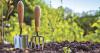 Small spaces, big blooms: summer container gardening