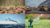 Earth Overshoot Day: Urgent need for ‘Ecological...