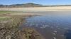 Flooding likely killed thousands of fish at southern Utah reservoir, wildlife officials say