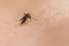 Cebu City dengue cases climb 12% to 1,228; 10 deaths logged