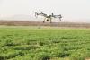 Botswana’s agricultural renewal and the investment opportunity it creates