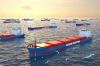 China's COSCO Shipping Development Orders 15 Large Bulk Carriers Worth USD1.2 Billion