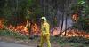 Thousands of French wildfire evacuees return home as cooler weather moves in