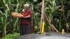 Swedfund invests US$12M in Acumen fund to boost climate resilience for African farmers