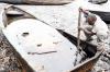 Shell knew Nigerian thieves tapped pipes, but kept oil flowing: Amnesty