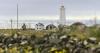 How to save money in Reykjavik, for the eclipse or a weekend