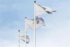 Latvia's power distribution network to expand further