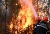 France Wildfires Halt 130,000 Workers, Macron Calls It "Worst Since WWII"