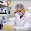 Wistar scientists identify fructose as a surprise driver of cancer spread