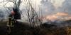 French farmers clash with prefecture over help for firefighters