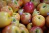 Drought threatens future of Okanagan orchards as farmers worry about long-term water supply (Kelowna)