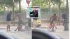Man, 26, who stomped on victim’s head in unprovoked Valencia attack is revealed to be violent criminal in Spain illegally