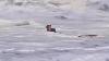 Nearly 2,000 ocean rescues occur as dangerous surf slams popular beaches this summer