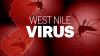 First Stratford mosquito pools test positive for West Nile virus