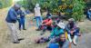 Government raises alarm over illegal immigrants on Mpumalanga farms