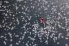 Our Gorgeous World From Above: 18 Winners Of International Aerial Photographer Of The Year