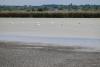 Emergency Action Planned for Wildlife as Hungary's Lake Velence Dries Out