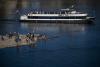Low Water Levels on the Danube Disrupt Boat Services