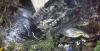 Decades Later: Boeing Countersues Cameroon Airlines Estate Over $179M Crash Claim
