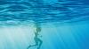Dive in Italy's Tremiti Islands to help protect the sea