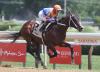 Obliteration looks to return to winning ways at Saratoga in G2 Amsterdam