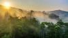 The $1.2tn untapped pharma opportunity in tropical conservation