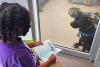 Florida 11-year-old read to shelter dog Hopper, and he was adopted after nearly 400 days