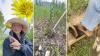 In Canada, one of biodiversity's biggest threats may be the plants you pass every day