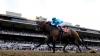 Live horse racing heads to FOX Sports as network secures mega deal with NYRA