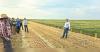 Mild weather helps crop tour turnout
