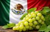 The Mexican table grape industry’s next big challenge