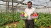 Left teaching for farming, Haryana professor earns crores from polyhouse business