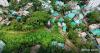 The quiet erasure of the Rakhine