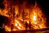 Deadly Wildfires Sweep Southern Europe