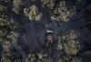 France and Spain win some respite, as wildfire battles rage across Europe