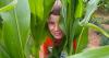 Britain's Got Talent farmer opens 7-acre dragon maze at Pembrokeshire attraction