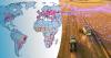 Global Crops and Drought