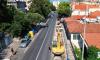 Dubrovnik Expands Green Spaces with 62 New Trees Along Vojnović Avenue