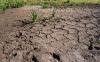 Farmers need reliable water supplies to protect food production, NFU warns