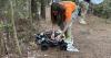 Ticks are taking over in Virginia. Could ODU's 'tick robot' help?