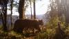 Three community projects launched to promote human-tiger coexistence