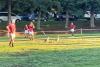 Egyptian geese halt SACS vs Paul Roos clash – WATCH