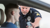 Michigan: Supreme Court Finds Marijuana Odor Is Insufficient Cause for a Motor Vehicle Search
