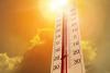 South Dakota ranchers protecting cattle herds during heat wave