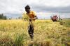 ECOWAS Advances Plans for Agricultural Risk Financing Window 