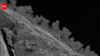 Scientists drilled 1,640 feet beneath Michigan and found 689 kinds of fungi living in water that last touched the surface 11,000 years ago
